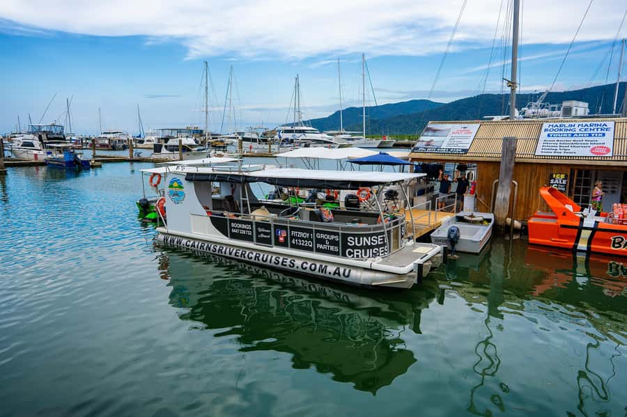 Cairns: Sightseeing River Boat Safari with Soft Drinks - From Marlin Marina to Trinity Inlet