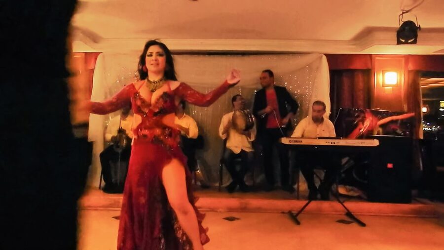 Cairo: Dinner Cruise on the Nile River with Entertainment - Which guides and guests are likely to enjoy it most