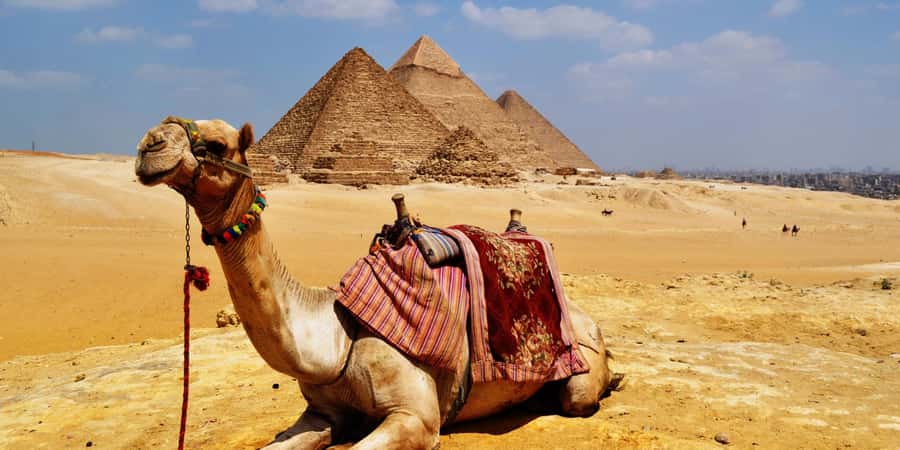 Cairo & Nile: 7-Day Hotel Stay & Cruise Package with Flights - Who should book this Egypt package?