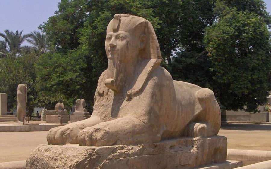 Cairo : Sakkara, Memphis ,Dahshur and Nile dinner cruise - The Nile dinner cruise after sightseeing