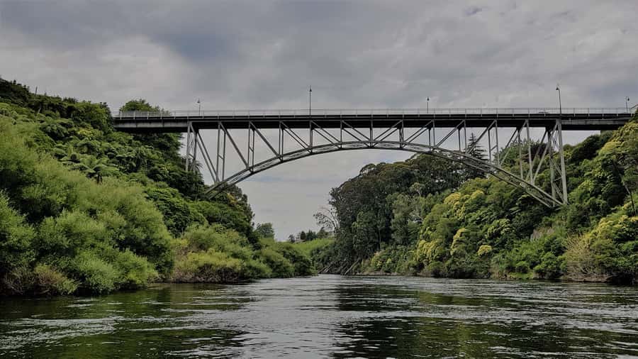 Cambridge, Matamata, Waitomo: 1-Hour Ecological River Cruise - Why this Waikato River trip is worth considering