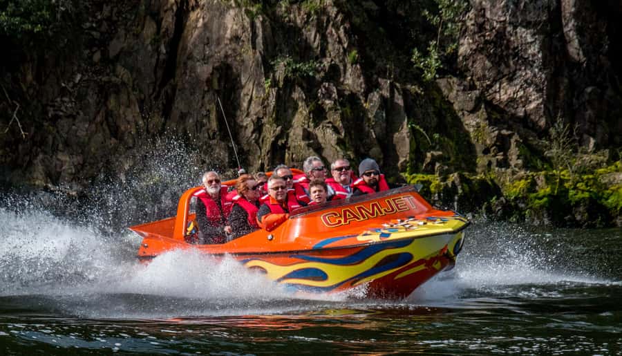 Cambridge, Matamata, Waitomo: 1-Hour Ecological River Cruise - Along the lower Waikato River