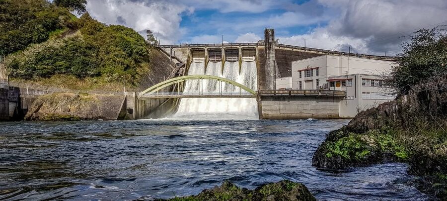 Cambridge, Matamata, Waitomo: 1-Hour Ecological River Cruise - Is $87 good value for one hour?