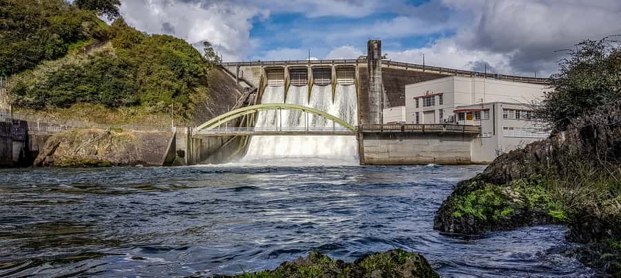 Cambridge, Matamata, Waitomo: 1-Hour Ecological River Cruise - Starting at CamJet in Cambridge