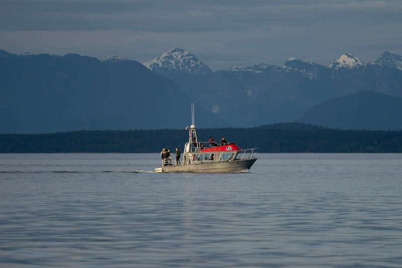 Campbell River: 6-Hour Whale Watching Boat Tour - What $245 gets you