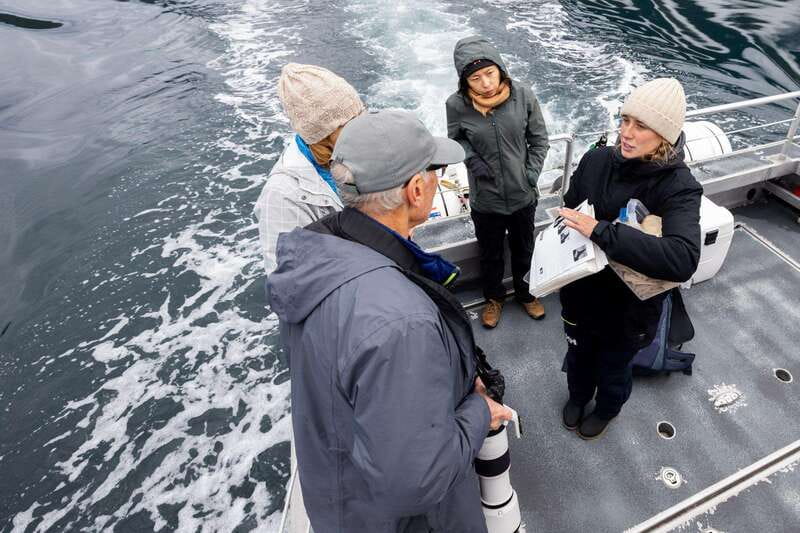 Campbell River: 6-Hour Whale Watching Boat Tour - The main strengths and limitations