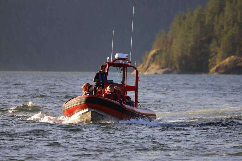 Campbell River: 6-Hour Whale Watching Boat Tour - Starting at the Floathouse