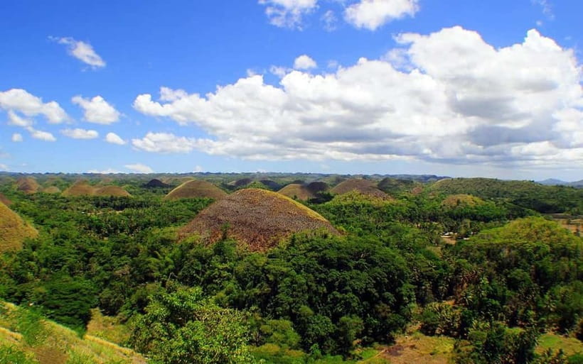 Cebu: Bohol Countryside and Loboc River Cruise Day Tour - Tarsiers require a quiet, careful visit