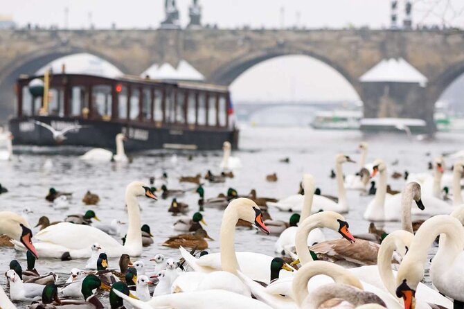 Charles Bridge: River Boat Cruise & Guided Tour ️with PragueWay - Kampa Island, the mill wheel, and quieter Prague