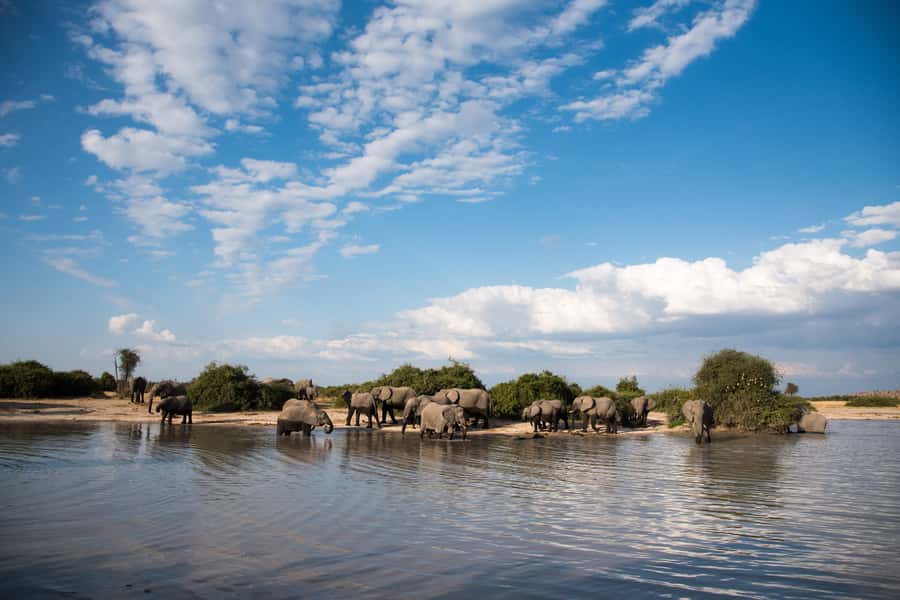 Chobe National Park: Day Trip, Safari drive & River Cruise - Is $190 a fair price?