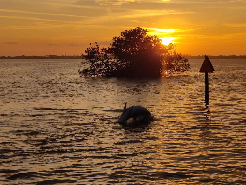 Cocoa Beach: Banana River Sunset Cruise - Final verdict: Should you book it?