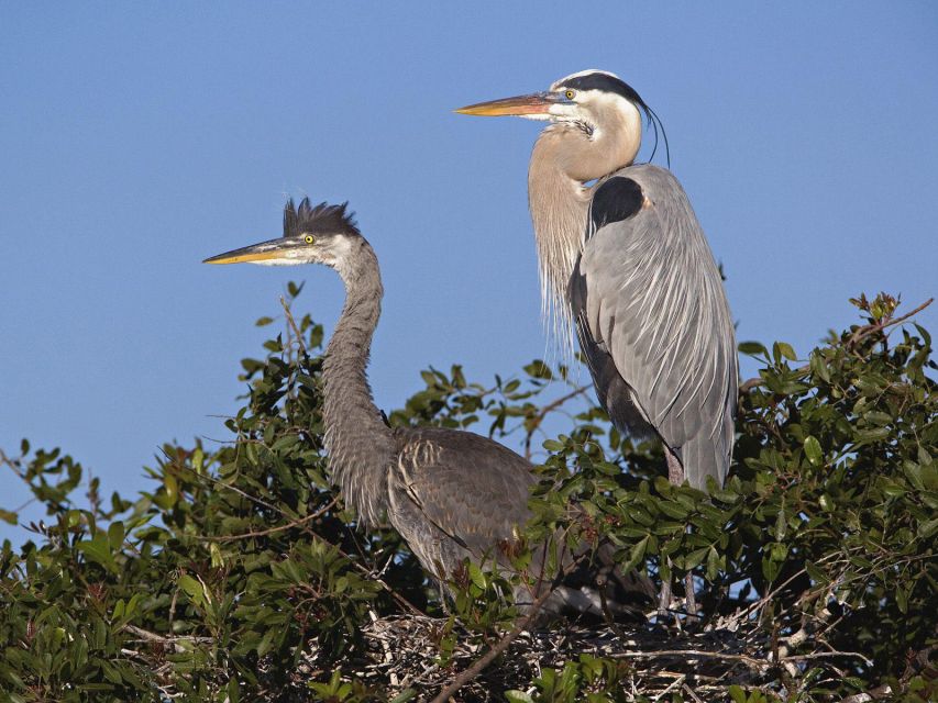 Cocoa Beach: Thousand Islands Banana River Boat Cruise - Is $48 a fair price?