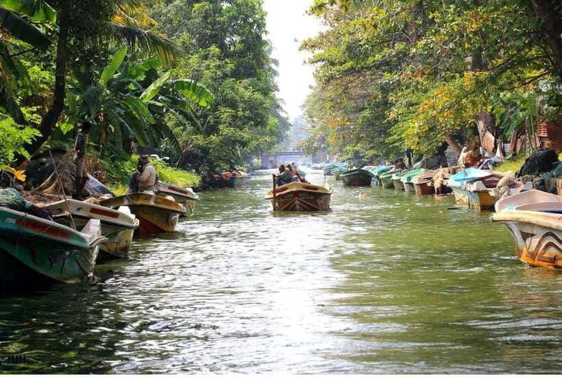 Colombo/Negombo: Muthurajawela & Dutch Canal Boat Adventure - Negombo Dutch Canal and the Hamilton Canal ride