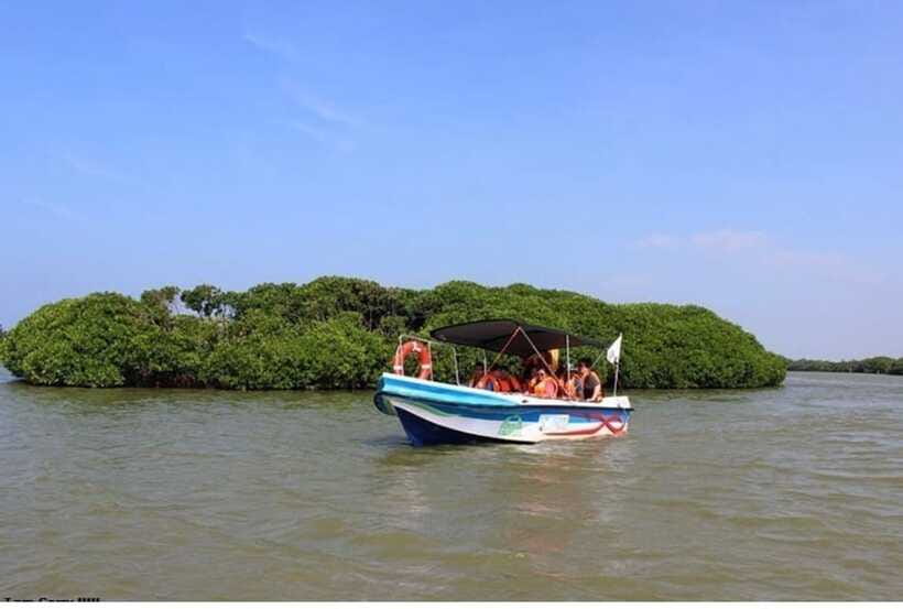 Colombo/Negombo: Muthurajawela & Dutch Canal Boat Adventure - Why the two waterways belong together