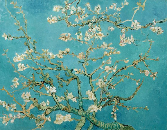 Combo Ticket: Van Gogh Museum Ticket and 1-Hour Canal Cruise - Why this Amsterdam combination can work well