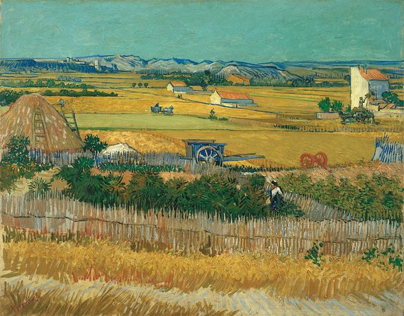 Combo Ticket: Van Gogh Museum Ticket and 1-Hour Canal Cruise - Is $45.18 a fair price?
