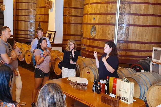 Complete Douro Valley Wine Tour with Lunch, Wine Tastings and River Cruise - São Cristovão do Douro and the road to Pinhão