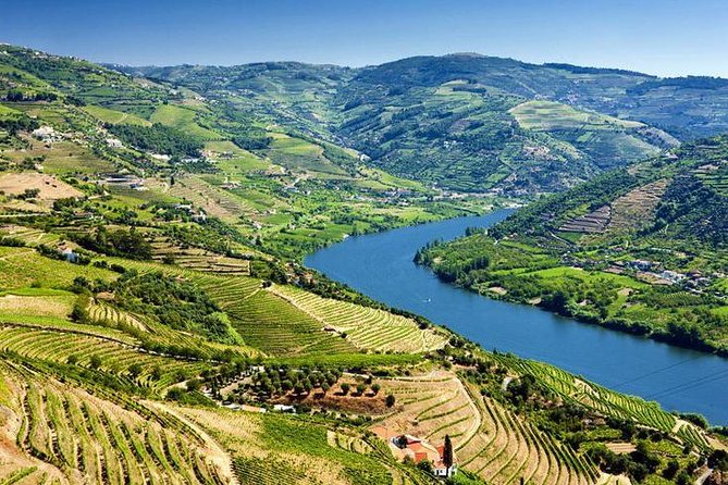 Complete Douro Valley Wine Tour with Lunch, Wine Tastings and River Cruise - Folgosa and the second wine estate