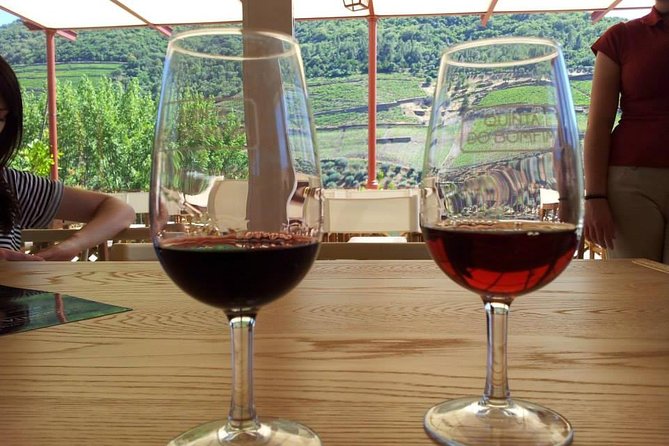 Complete Douro Valley Wine Tour with Lunch, Wine Tastings and River Cruise - Food, wine, and pacing