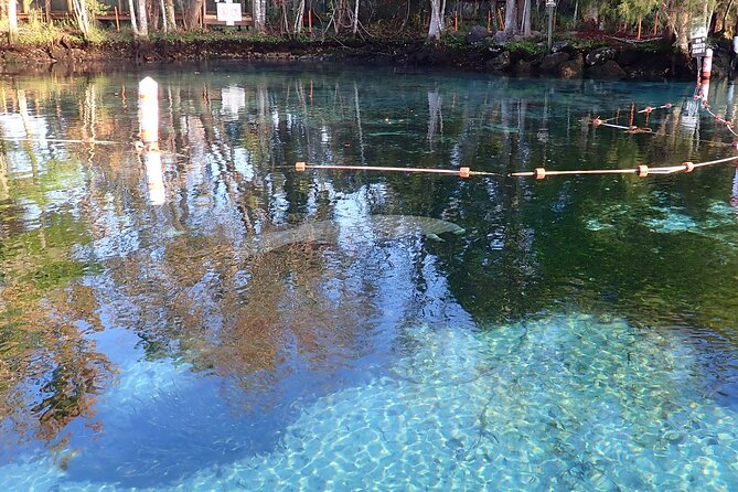 Crystal River Manatee Viewing Cruise - Starting at Explorida Adventure Center