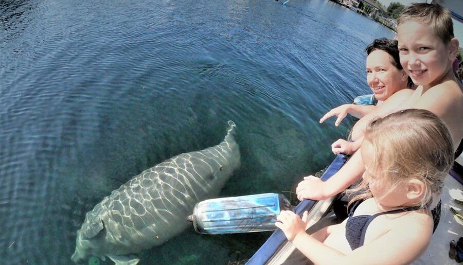 Crystal River: Manatee Viewing Cruise - Is $35 a good value?