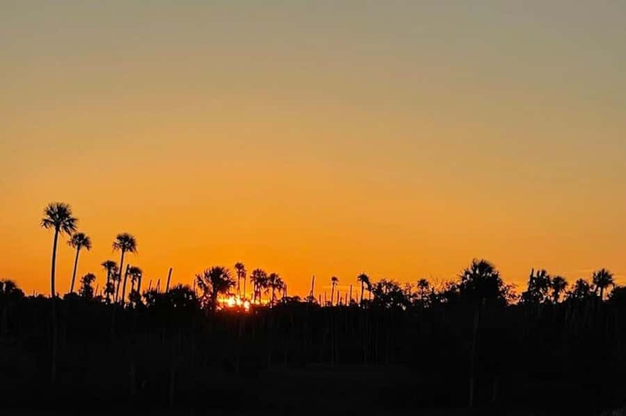 Crystal River: Sunset Cruise in Kings Bay - Is $41 a fair price?