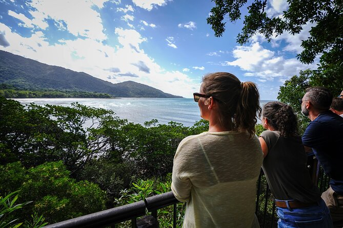 Daintree, Cape Tribulation & River Cruise from Port Douglas - Quick reasons to consider this Daintree tour