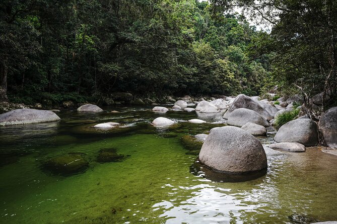 Daintree, Cape Tribulation & River Cruise from Port Douglas - The Daintree River cruise is the wildlife centerpiece