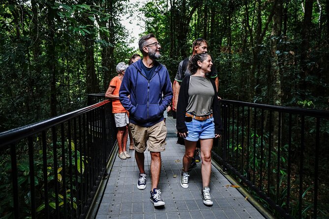 Daintree, Cape Tribulation & River Cruise from Port Douglas - A short boardwalk explains how the rainforest works