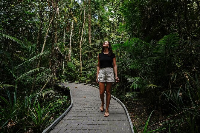 Daintree, Cape Tribulation & River Cruise from Port Douglas - Cape Tribulation shows where rainforest meets reef