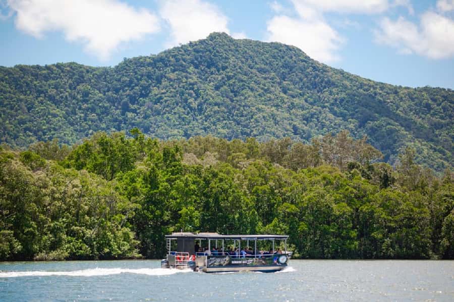 Daintree: Guided Daintree River Wildlife Cruise - The best way to prepare for the boat