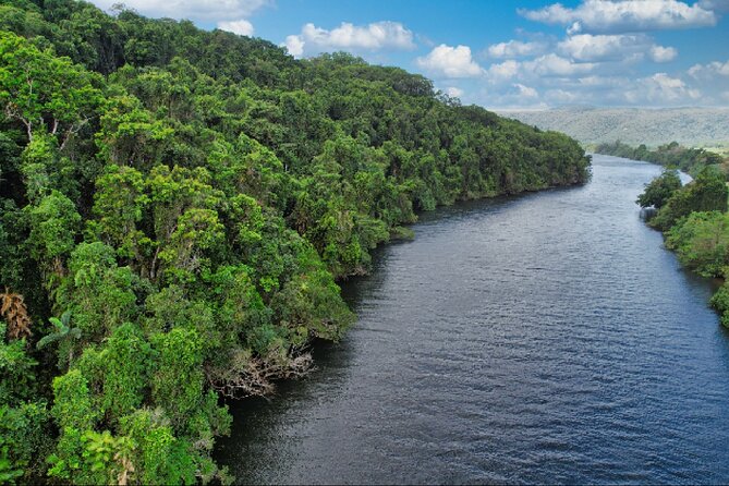 Daintree River Cruise - The scenery may surprise you