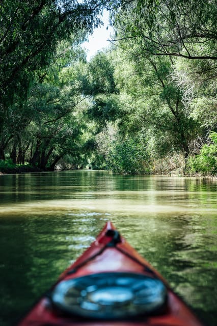 Danube Delta: Boat Tour Through the Water Lily Reserve - Two hours is enough for a taste, not the whole Delta