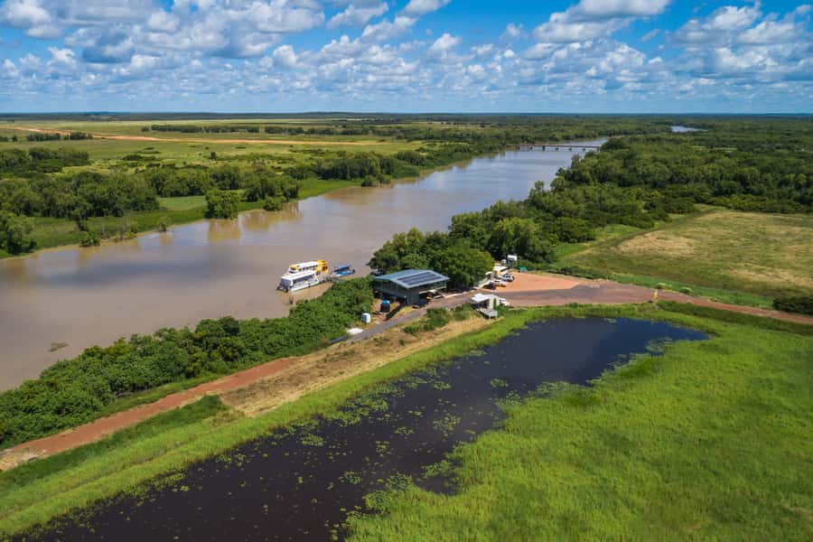 Darwin: Jumping Crocodile River Cruise with Shuttle Bus - The wildlife is more than crocodiles