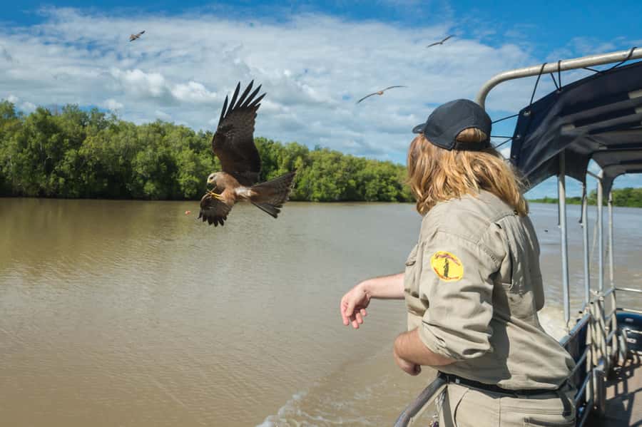 Darwin: Jumping Crocodile River Cruise with Shuttle Bus - What the $84 price includes