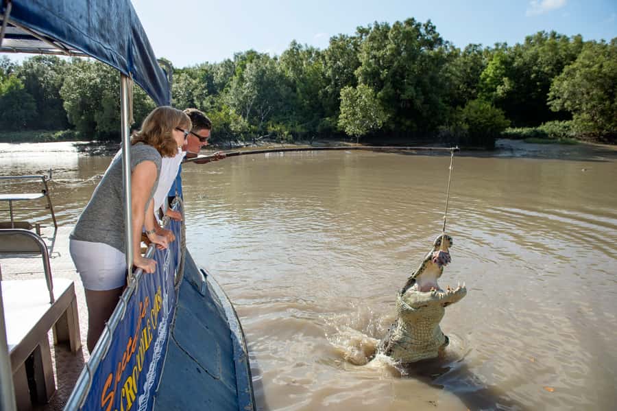 Darwin: Jumping Crocodile River Cruise with Shuttle Bus - Practical tips for a better outing