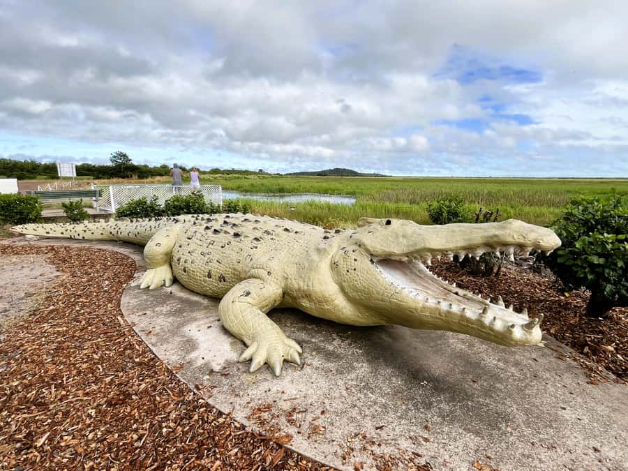 Darwin: Jumping Crocodile River Cruise with Shuttle Bus - Should you book the Adelaide River cruise?