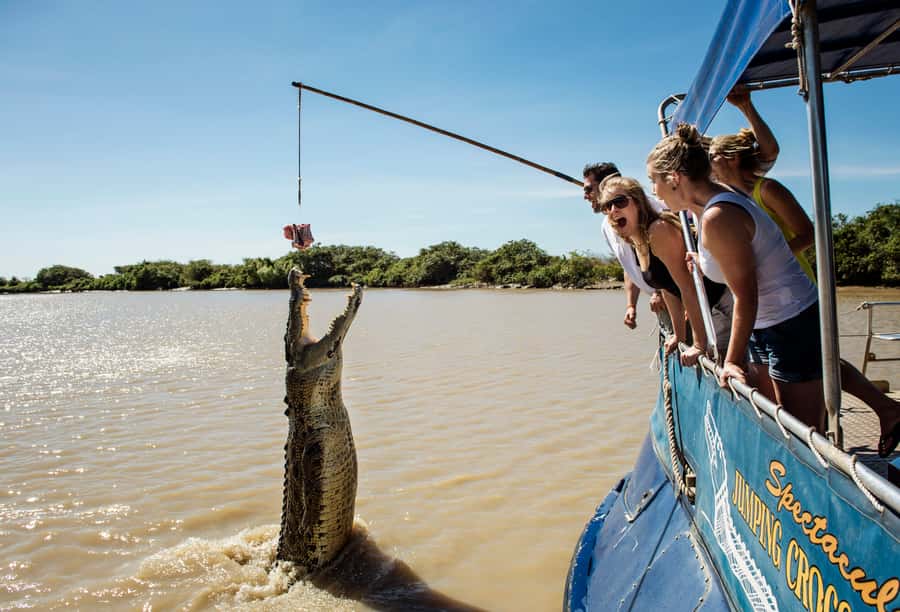 Darwin: Jumping Crocodile River Cruise with Shuttle Bus - Meeting saltwater crocodiles on the boat
