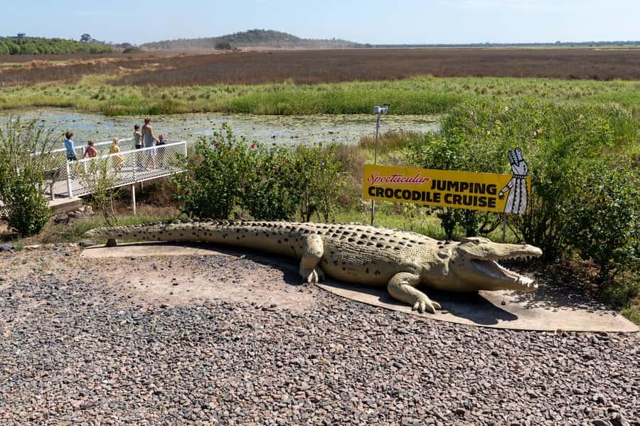 Darwin: Spectacular Jumping Crocodile Adelaide River Cruise - Guides Make the Difference