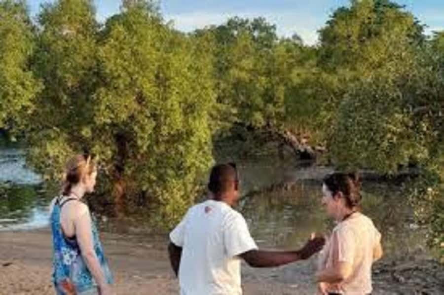 Diani Beach: Kongo River Estuary Sundowner Boat Tour - Starting with a Diani Beach tuk tuk pickup