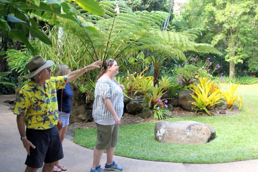 Discover Cairns: Cairns River Cruise & City Sights Tour - Is $151 a fair price?