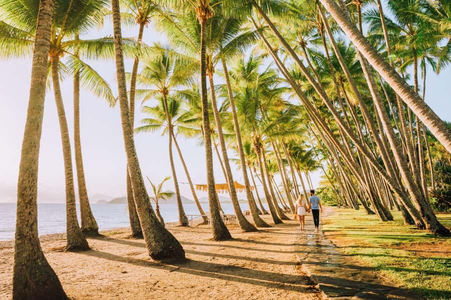 Discover Cairns: Cairns River Cruise & City Sights Tour - Tropical plants at the Botanic Gardens