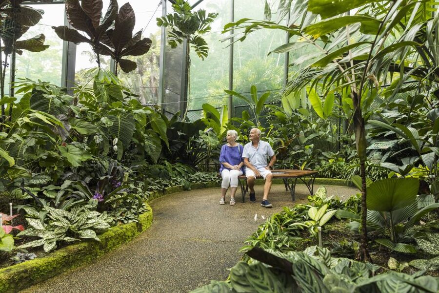 Discover Cairns: Cairns River Cruise & City Sights Tour - Palm Cove’s quieter coastal finish