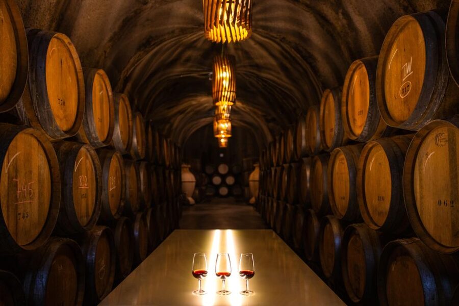 Douro Luxury - Private Cruise Premium Winery and Restaurant - Seeing the valley from a private boat in Pinhão