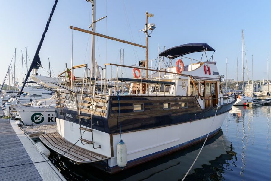 Douro River: Party Boat Tour - Setting off from Marina da Afurada