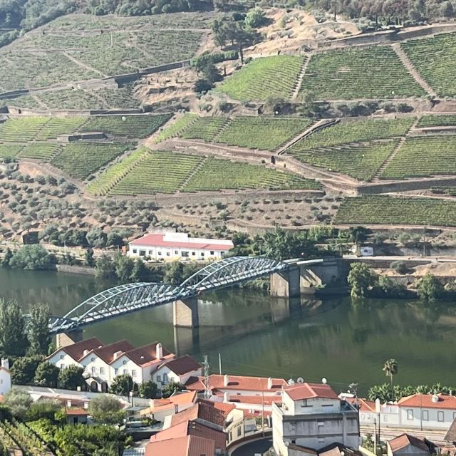 Douro Tour: Wine Tastings, Boat Ride & Manor House Lunch - Pinhão from the water: one hour on the Douro