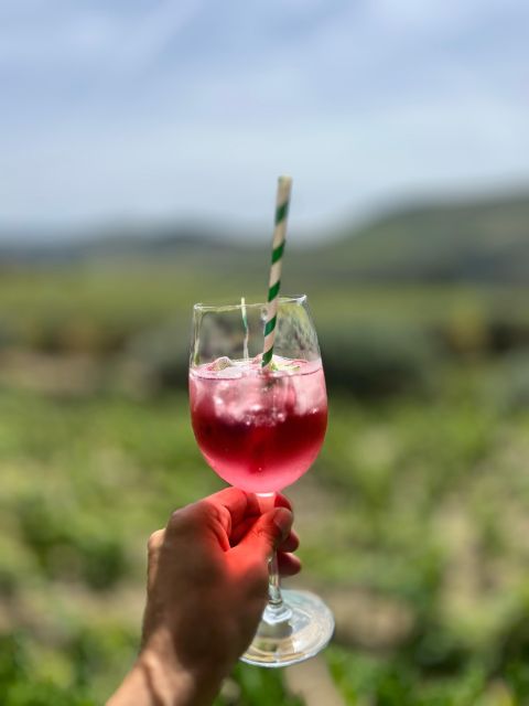 Douro Tour: Wine Tastings, Boat Ride & Manor House Lunch - More wine, a viewpoint, and the return route
