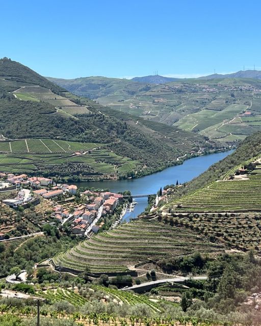 Douro Tour: Wine Tastings, Boat Ride & Manor House Lunch - Starting at Largo da Estação 5050