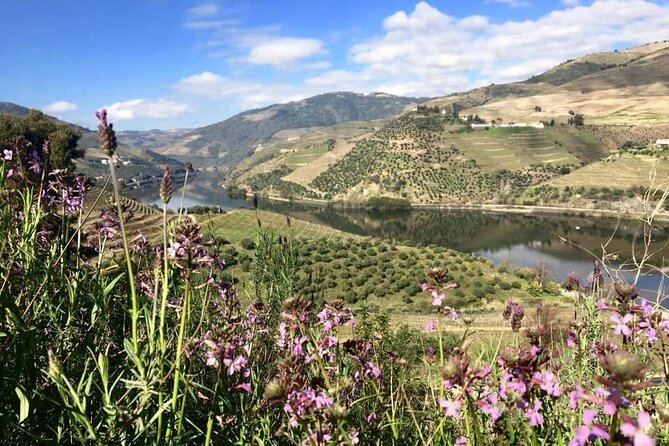 Douro Valley and Régua Panoramic Cruise with Lunch from Porto - The Crestuma-Lever lock and the return to Porto