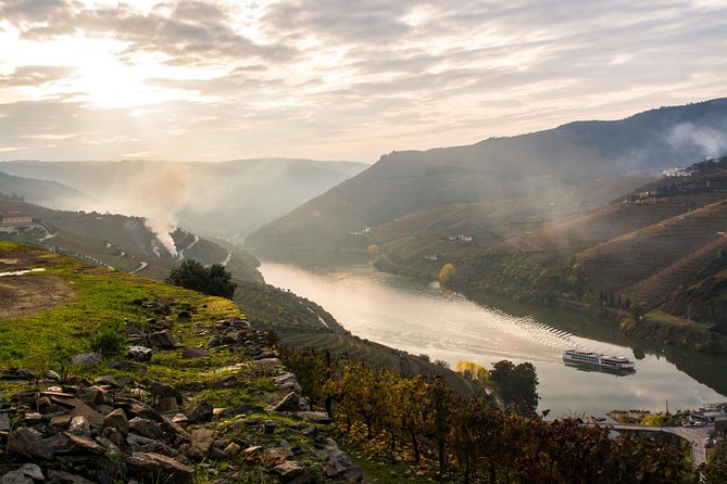 Douro Valley and Régua Panoramic Cruise with Lunch from Porto - Is the $92.92 price good value?